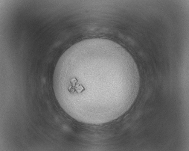 X0000081330820200702082200