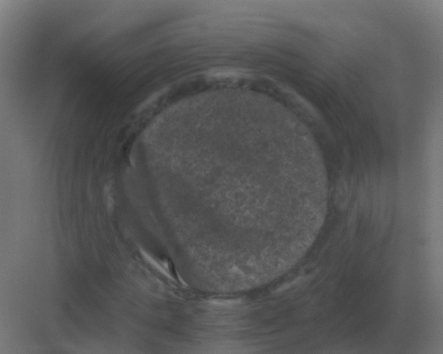 X0000081330821200702082200