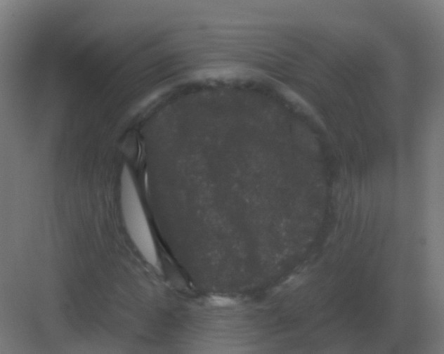 X0000081330822200702082200