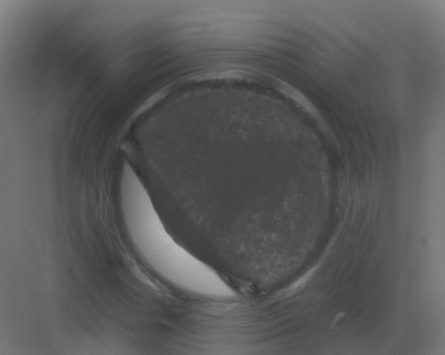 X0000081330826200702082200