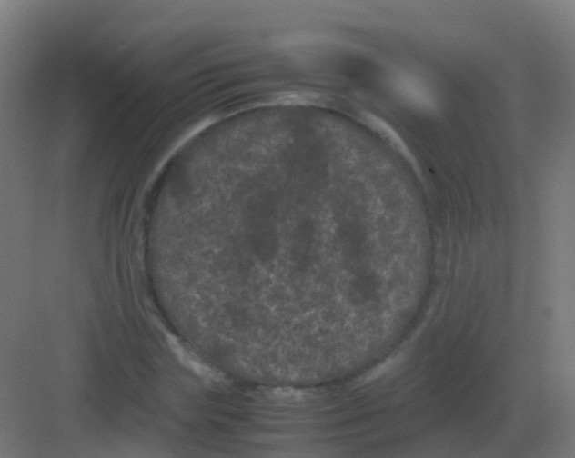 X0000081330827200702082200