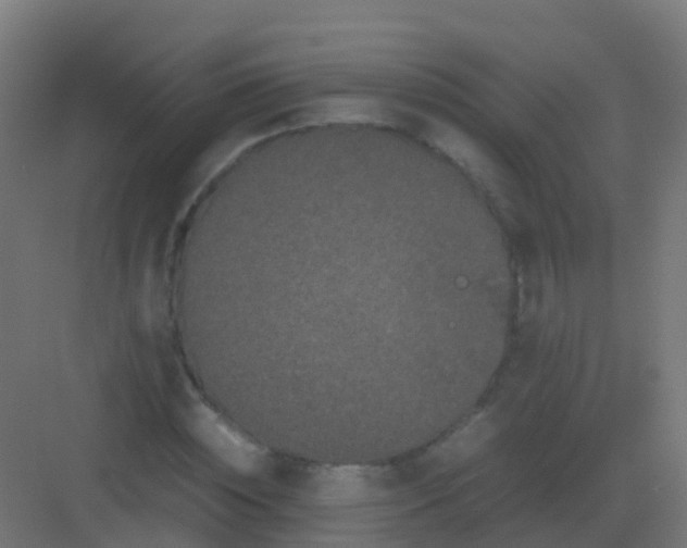 X0000081330828200702082200