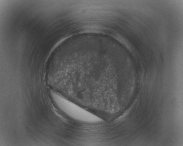 X0000081330830200702082200