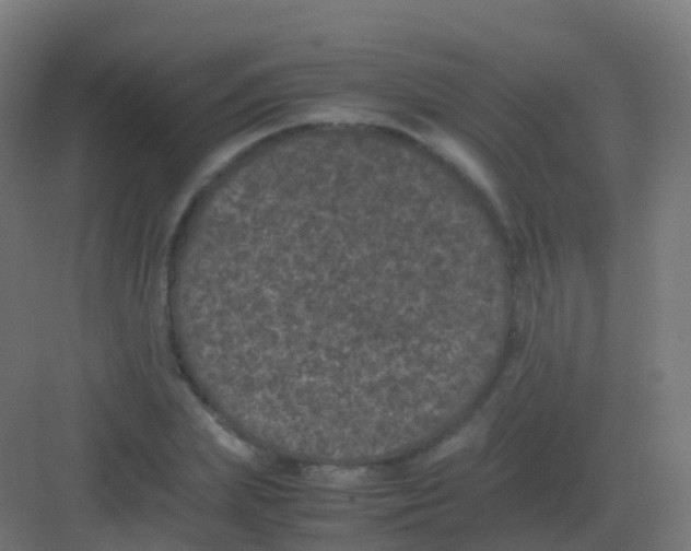 X0000081330831200702082200