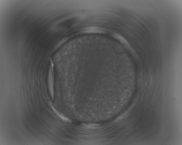 X0000081330833200702082200