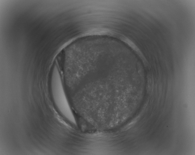 X0000081330834200702082200