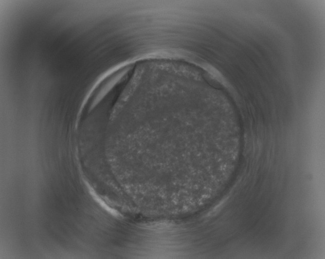 X0000081330838200702082200