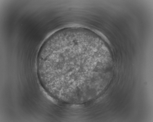 X0000081330839200702082200