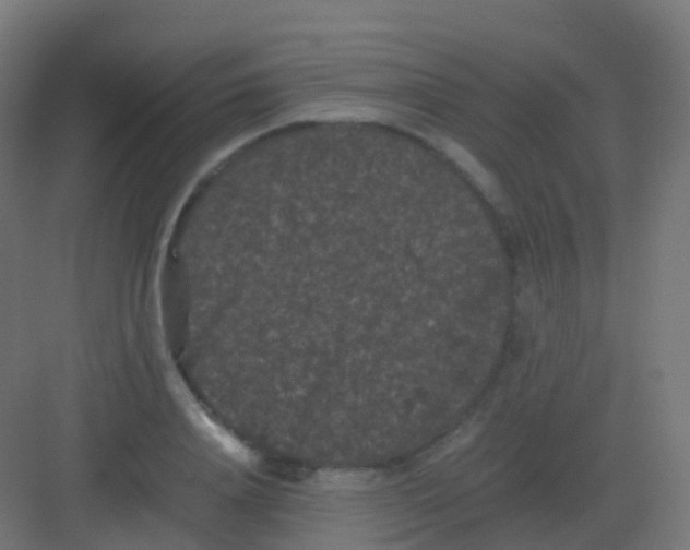 X0000081330840200702082200