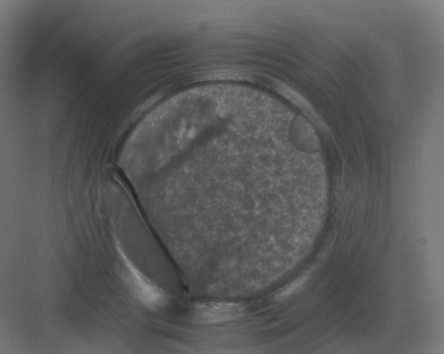 X0000081330841200702082200