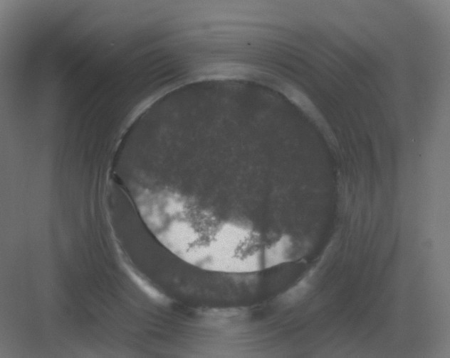 X0000081330842200702082200