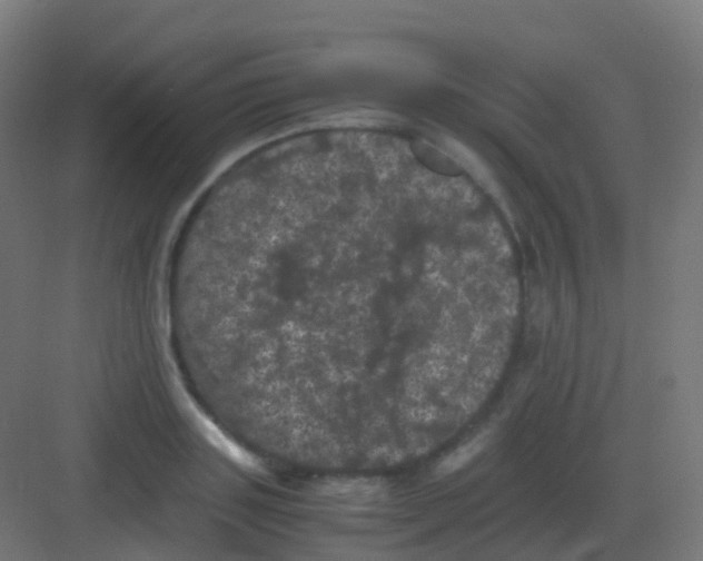 X0000081330843200702082200