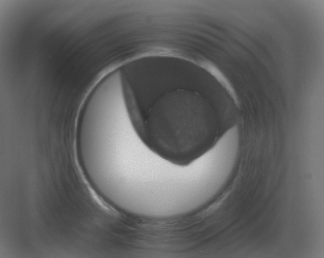 X0000081330845200702082200