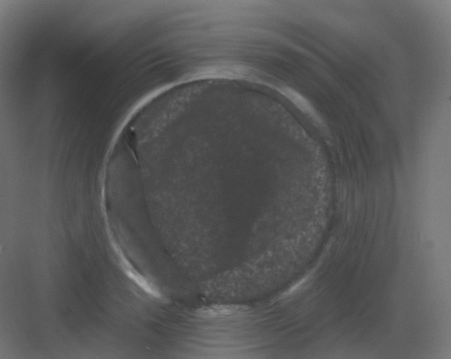 X0000081330846200702082200