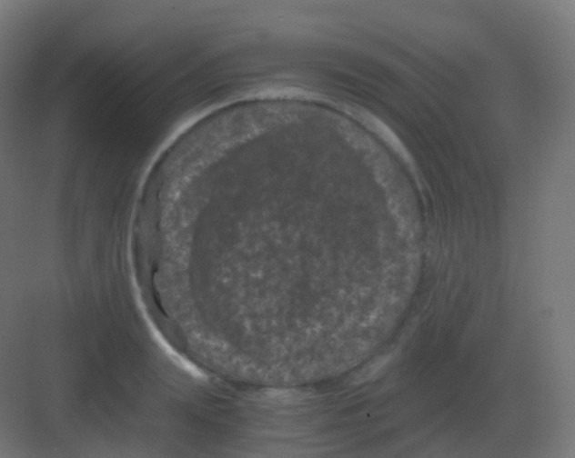 X0000081330847200702082200