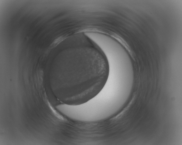 X0000081330849200702082200