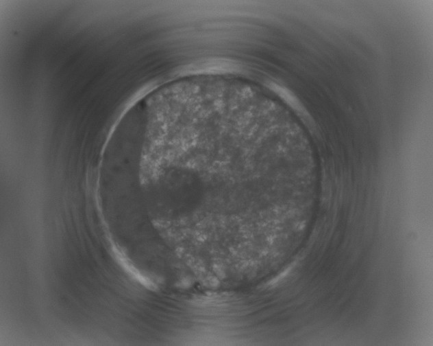 X0000081330850200702082200