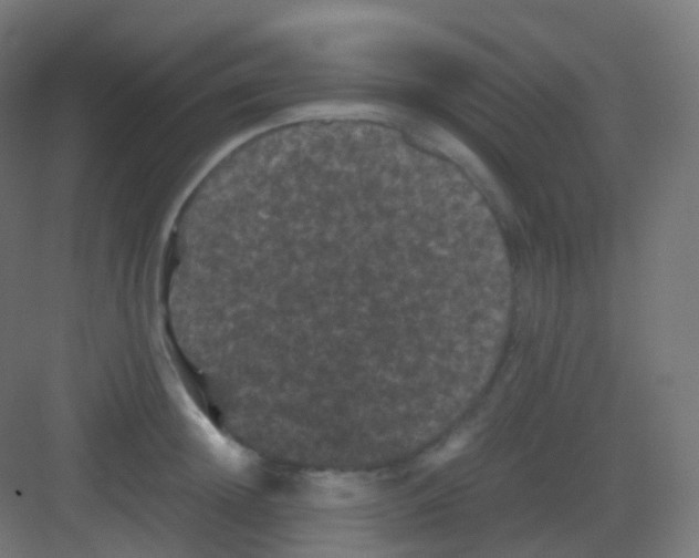 X0000081330852200702082200