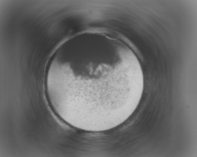 X0000081330853200702082200