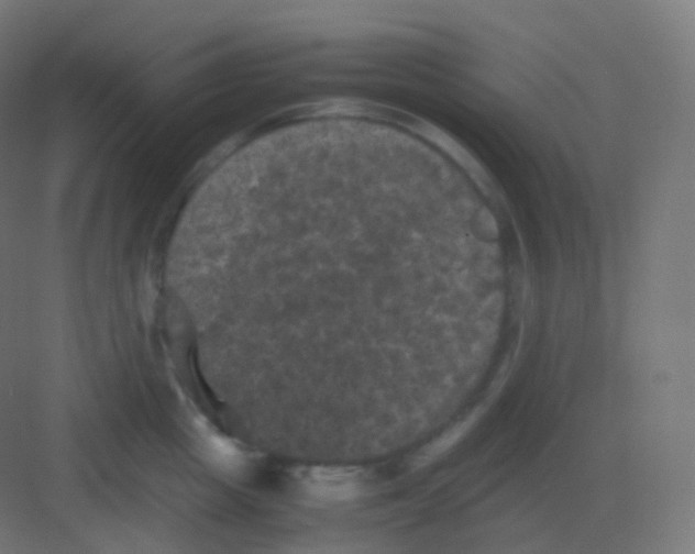 X0000081330857200702082200