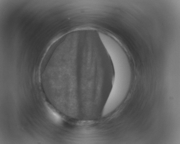 X0000081330858200702082200