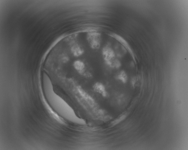 X0000081330859200702082200