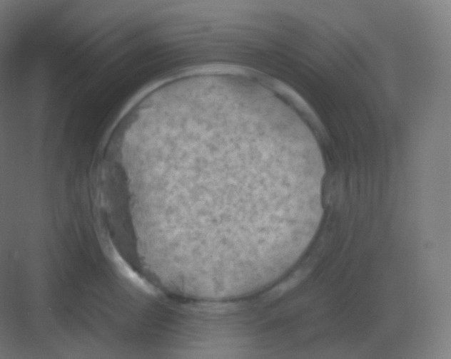 X0000081330860200702082200