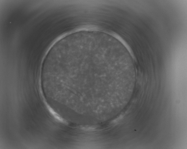 X0000081330861200702082200