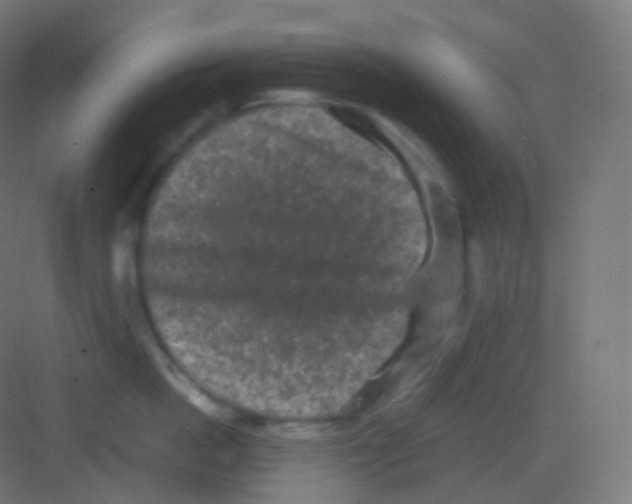 X0000081330862200702082200