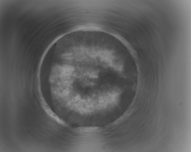 X0000081330864200702082200