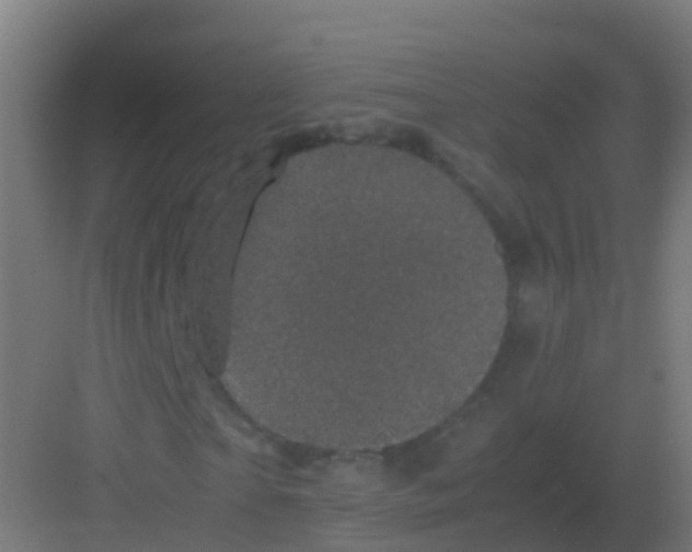 X0000081330865200702082159