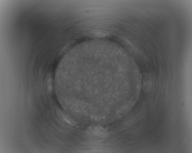 X0000081330866200702082159