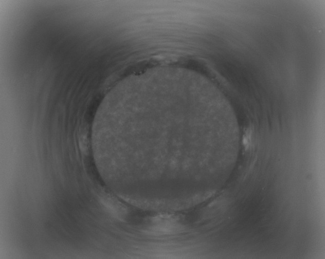 X0000081330867200702082159