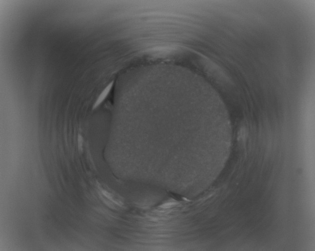 X0000081330868200702082159