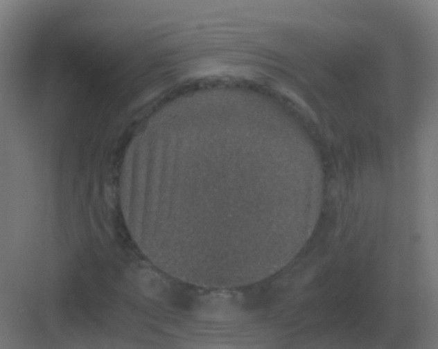 X0000081330869200702082159