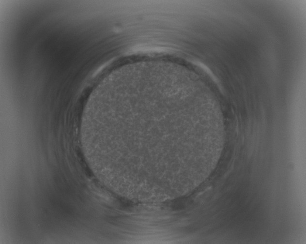 X0000081330871200702082159