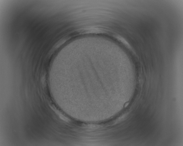 X0000081330873200702082159