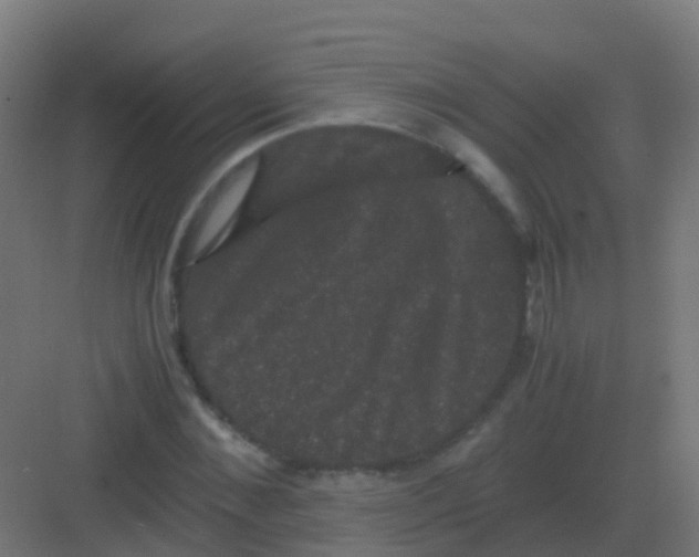 X0000081330876200702082159