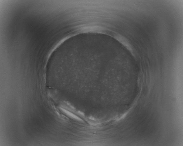 X0000081330877200702082159