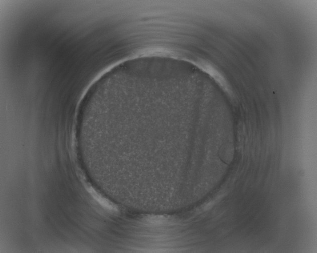 X0000081330880200702082159