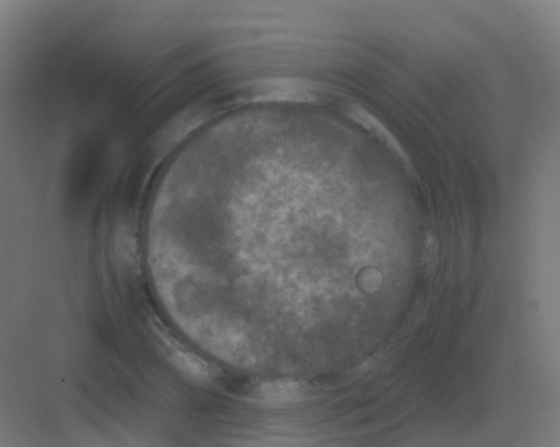 X0000081330882200702082159