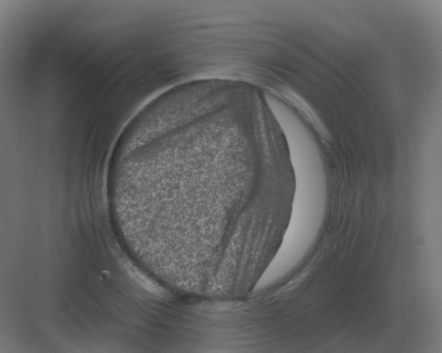 X0000081330884200702082159