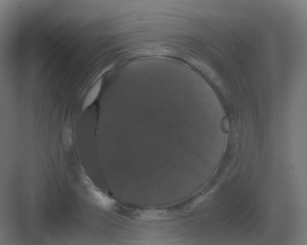 X0000081330889200702082159