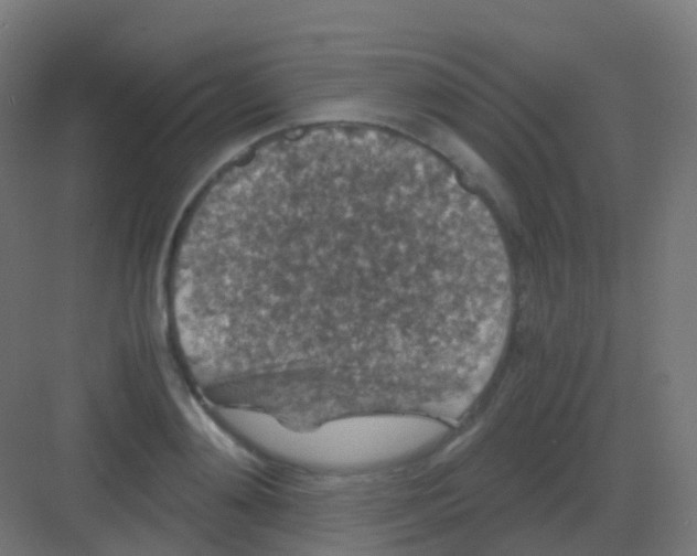 X0000081330892200702082159