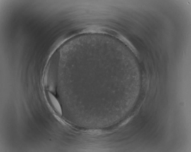 X0000081330893200702082159