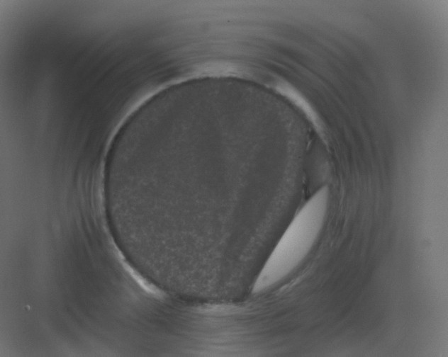 X0000081330894200702082159