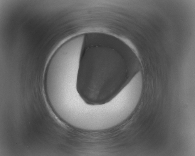 X0000081330895200702082159