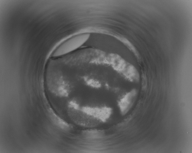 X0000081330896200702082159