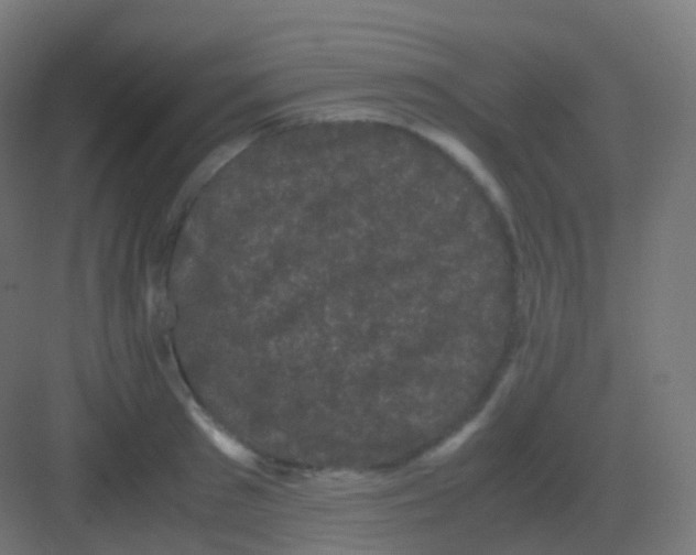 X0000081330897200702082159