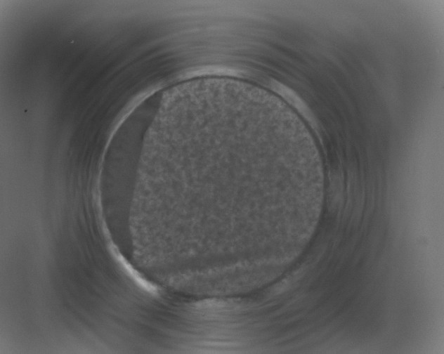 X0000081330898200702082159